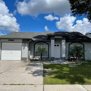 Cozy 3 Bedroom Close To Everything In Tampa! Tampa